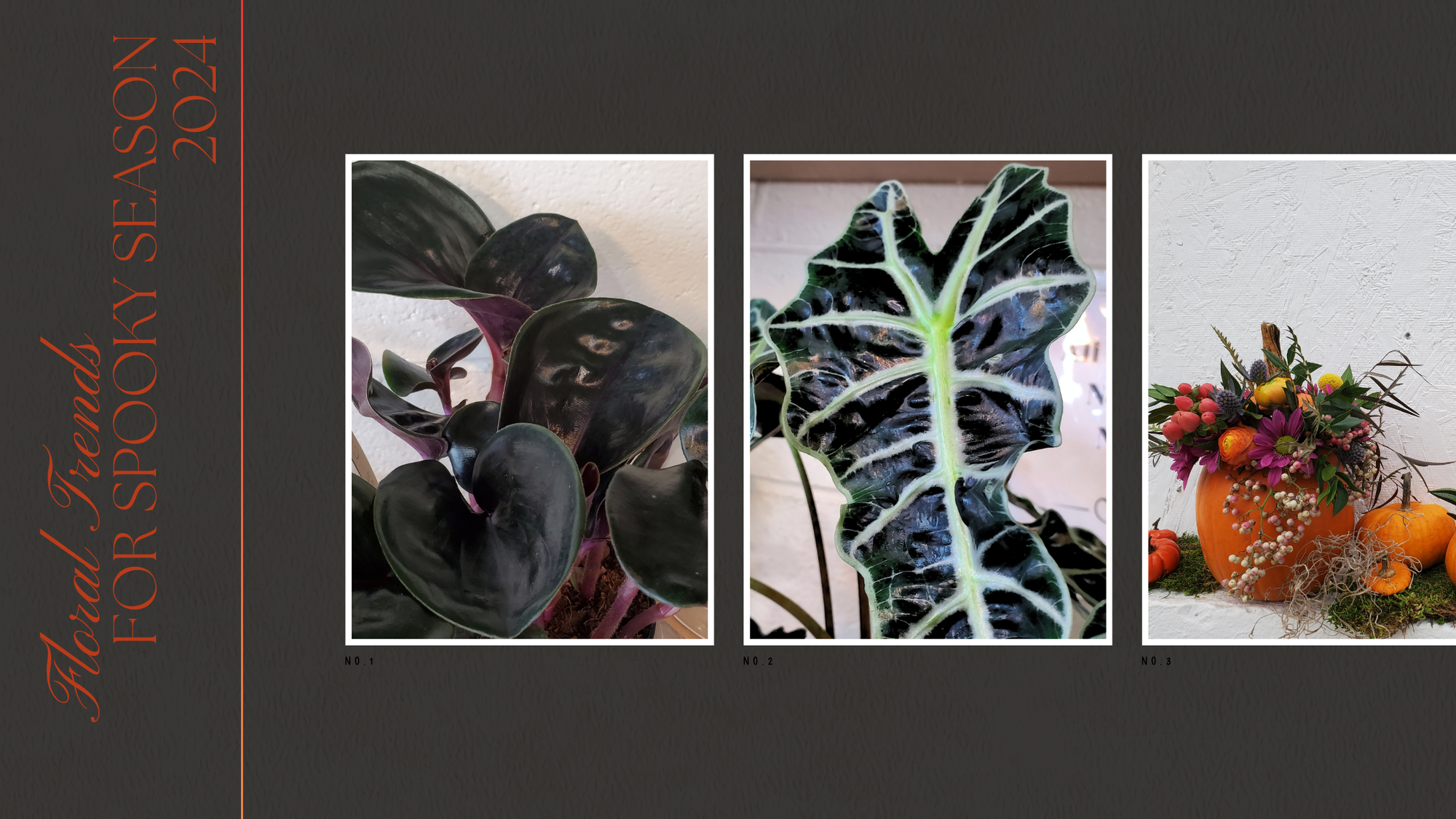 Floral Trends for Spooky Season 2024