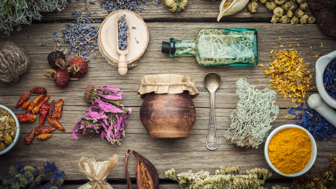 “Herbs Part 2: Everyday Uses”