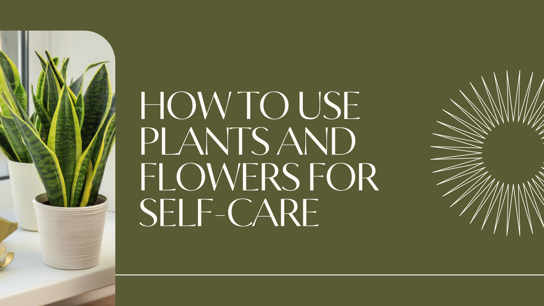 How to Use Plants and Flowers for Self-care