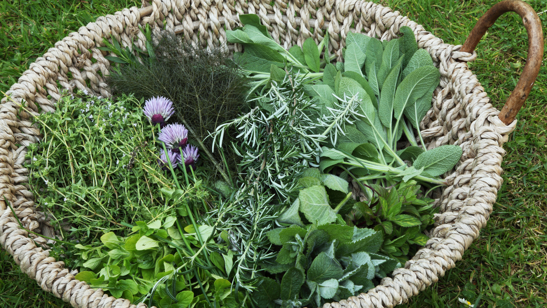 Make a Wreath Out of Herbs for Gorgeous Fall Decor
