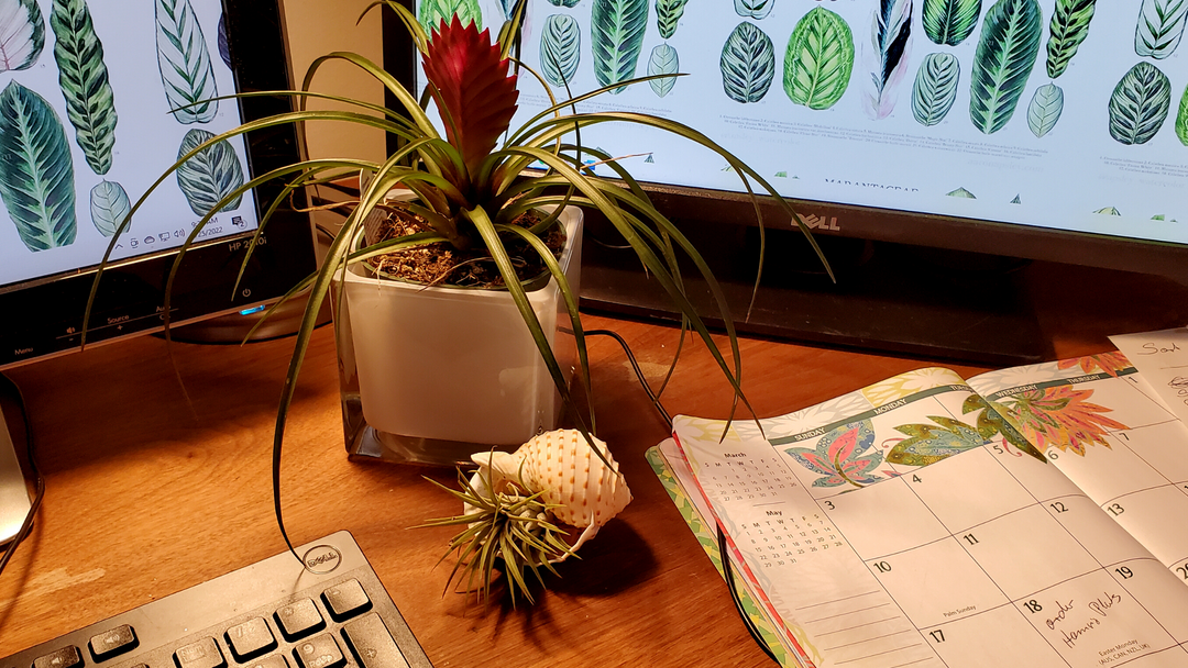 The Perfect Gift for Administrative Professionals Day