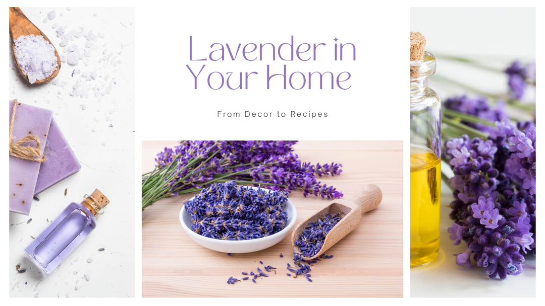 Ways to Include Lavender in Your Home (From Decor to Recipes)