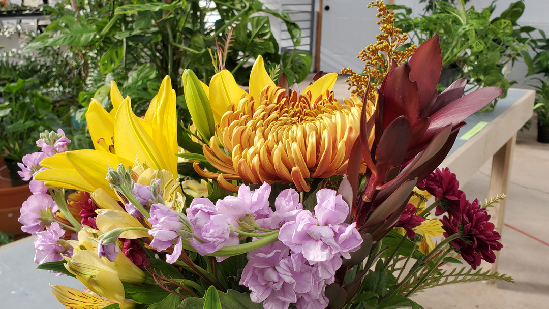Your Home With These Gorgeous Fall Flowers