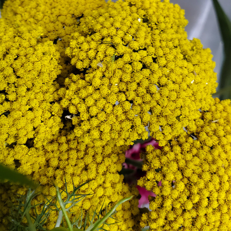 Blumenladen in Heidelberg