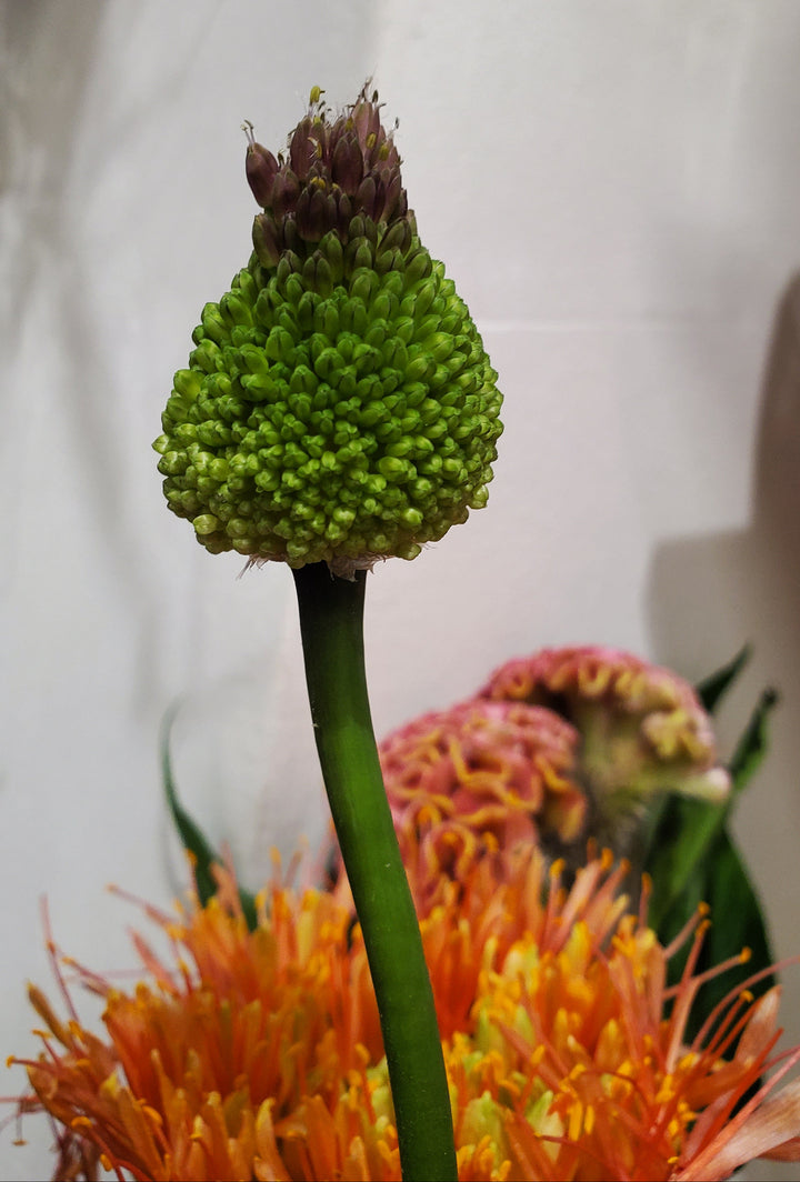 Blumenladen in Heidelberg