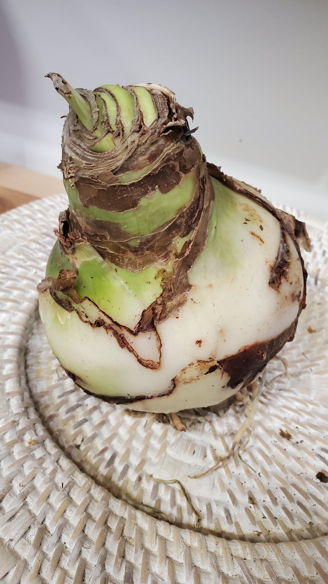 FlowerWorks Heidelberg