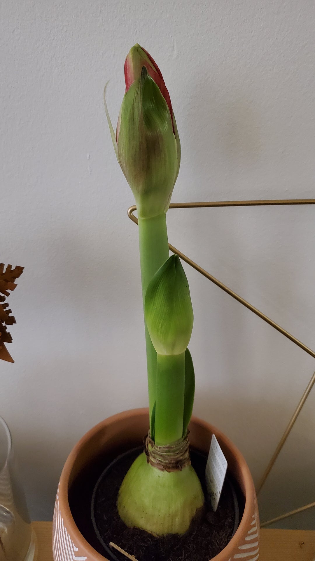 FlowerWorks Heidelberg