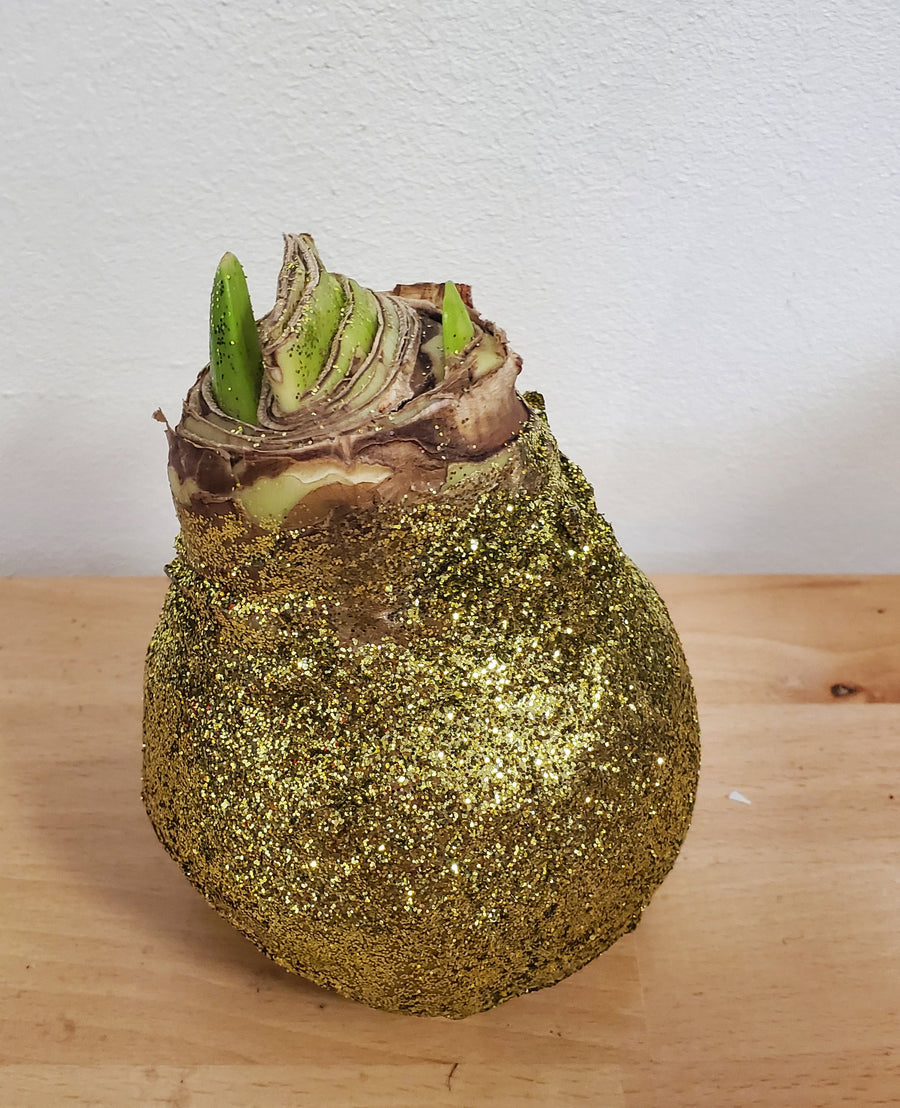 FlowerWorks Heidelberg