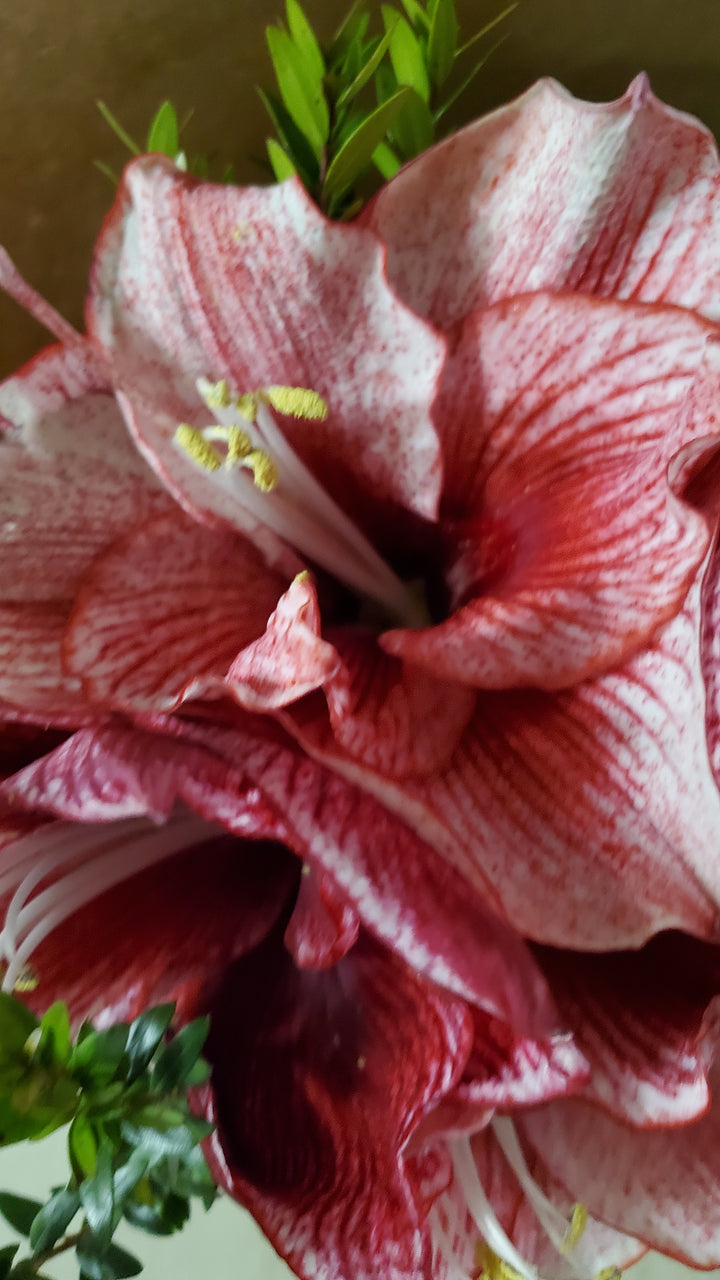 FlowerWorks Heidelberg