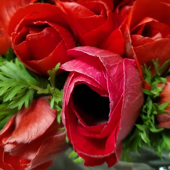 FlowerWorks Heidelberg