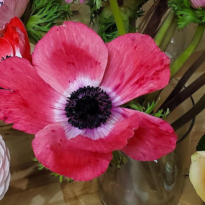 FlowerWorks Heidelberg