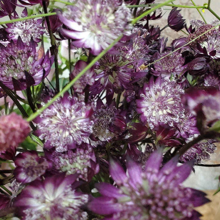Blumenladen in Heidelberg