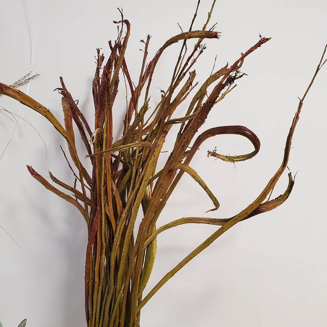 Pro Stiel.

Lieferung erst ab Gesamtsumme von € 25

Sie mischen und kombinieren nach Ihrer Wahl.

Wir binden den Strauß für Sie.