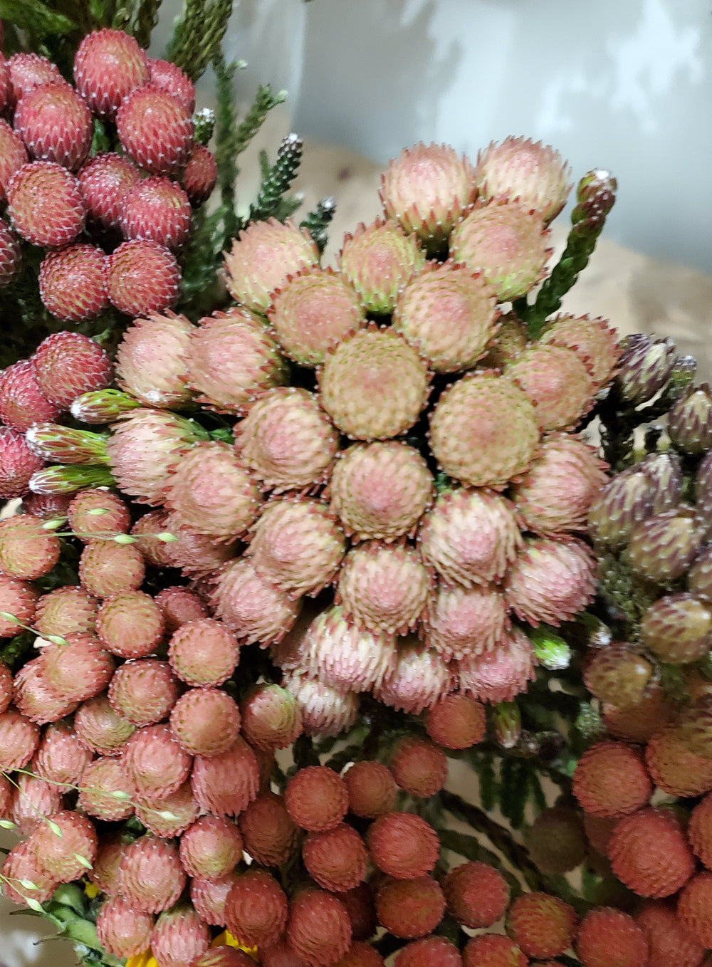 FlowerWorks Heidelberg