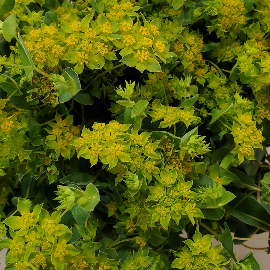 Blumenladen in Heidelberg