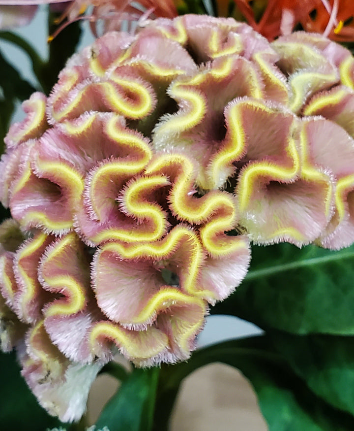 Blumenladen in Heidelberg