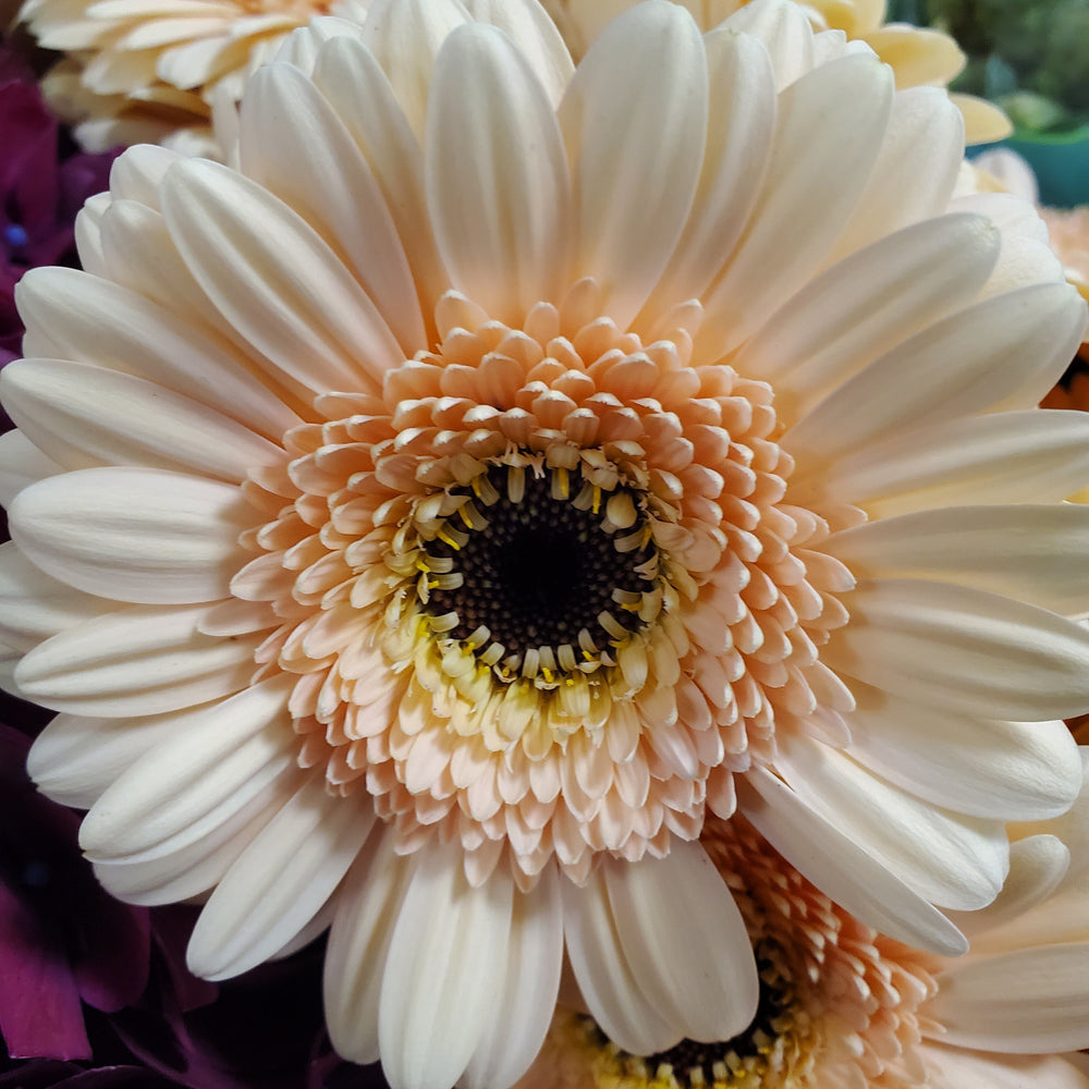 FlowerWorks Heidelberg