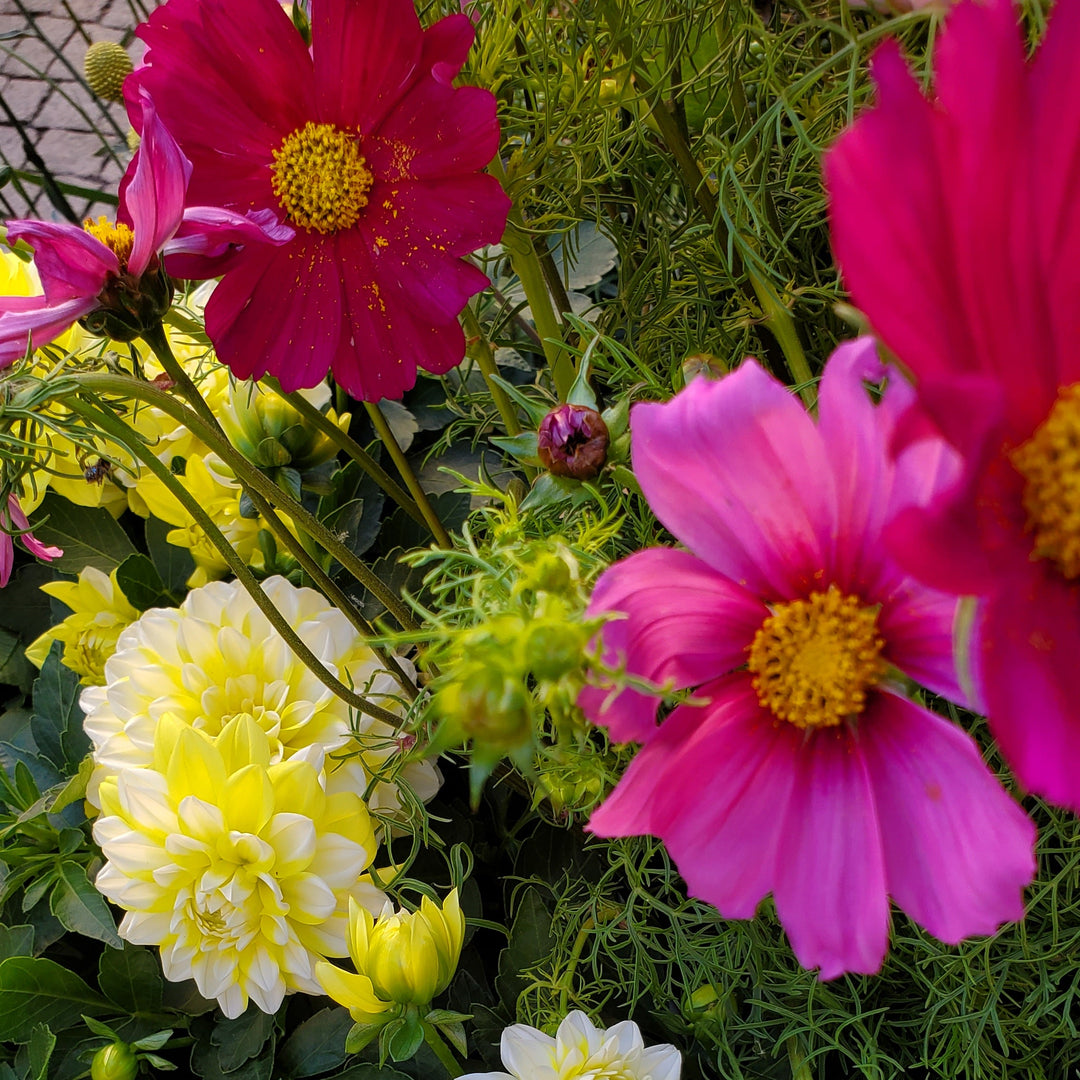 Blumenladen In Heidelberg