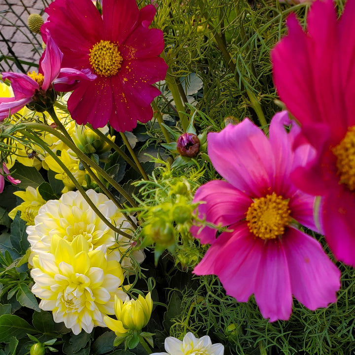 Blumenladen In Heidelberg