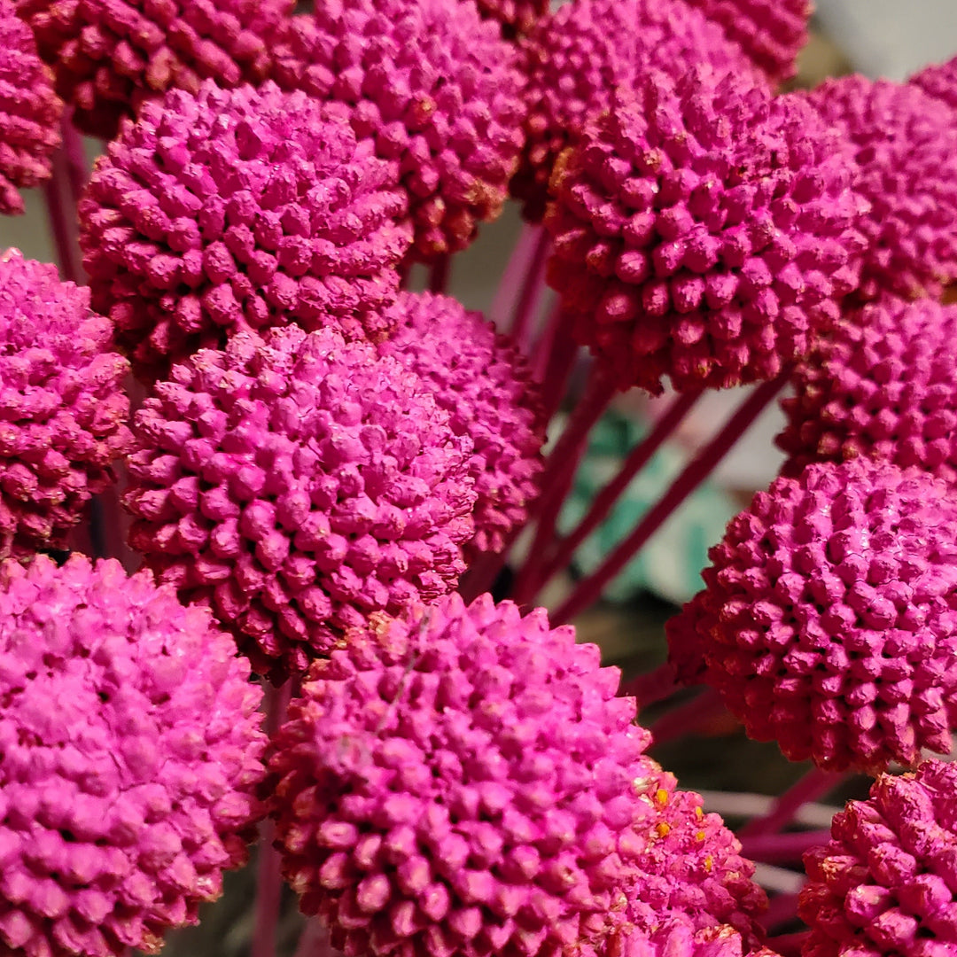 FlowerWorks Heidelberg