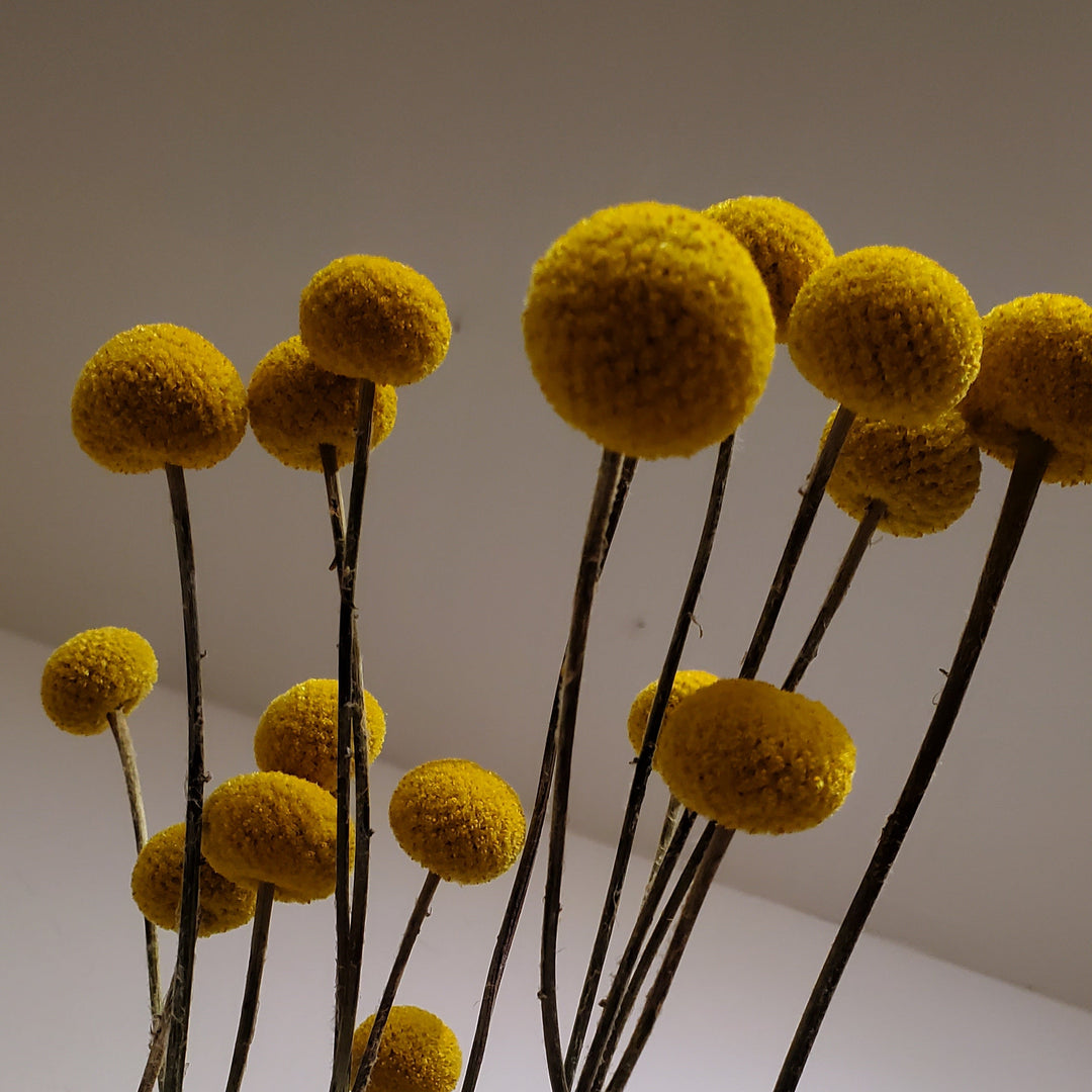 FlowerWorks Heidelberg