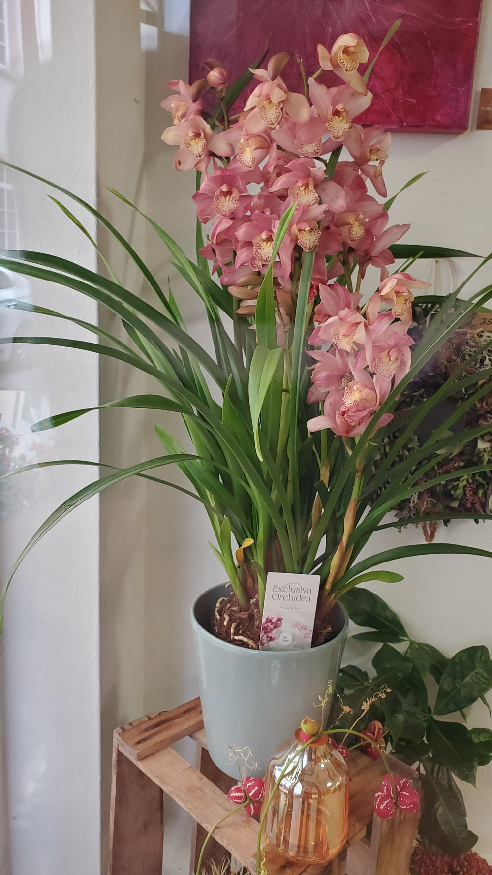 FlowerWorks Heidelberg