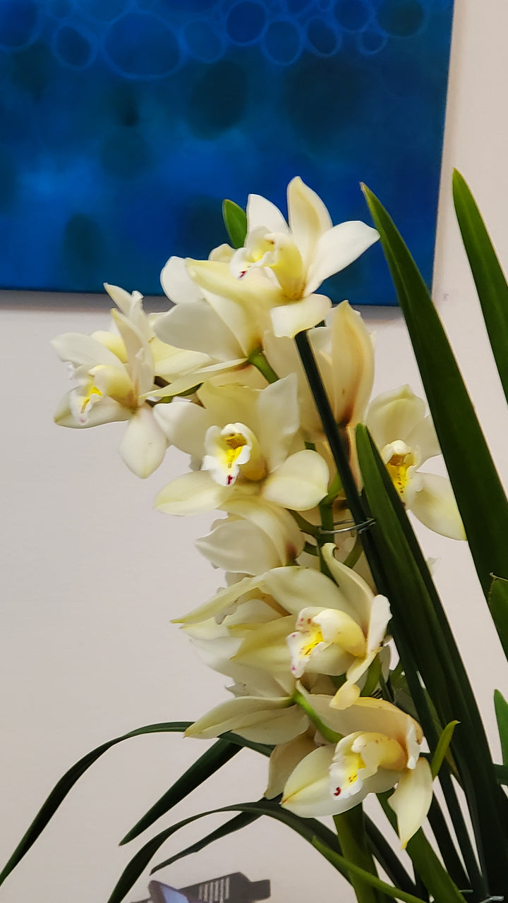 FlowerWorks Heidelberg