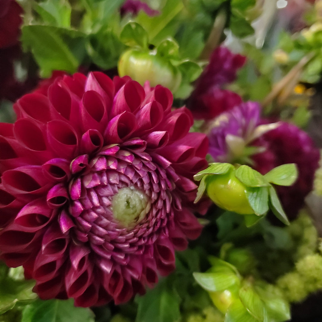 FlowerWorks Heidelberg