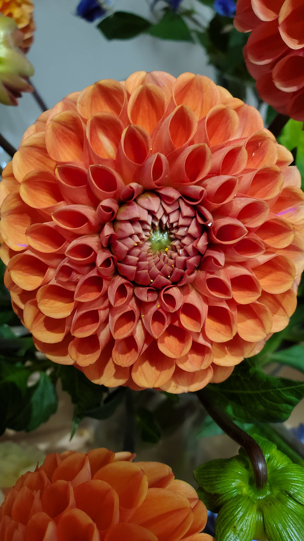 FlowerWorks Heidelberg