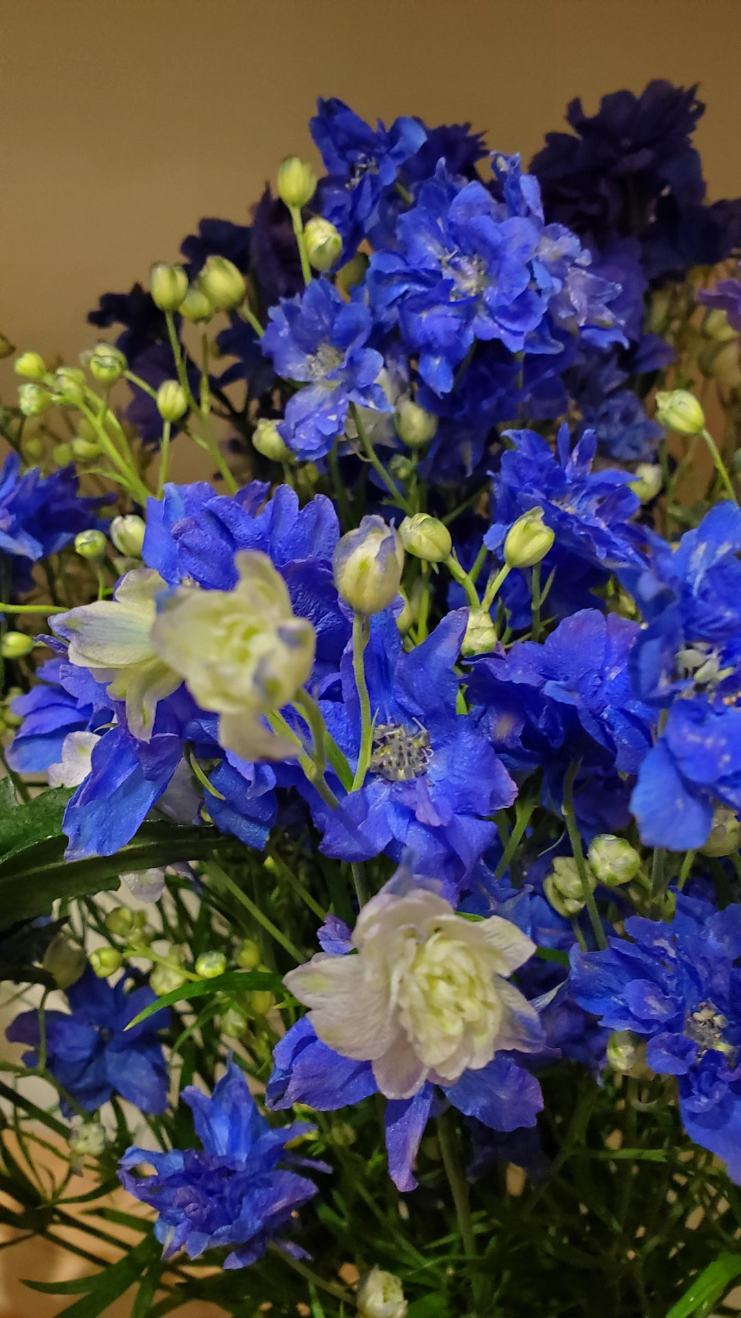 FlowerWorks Heidelberg