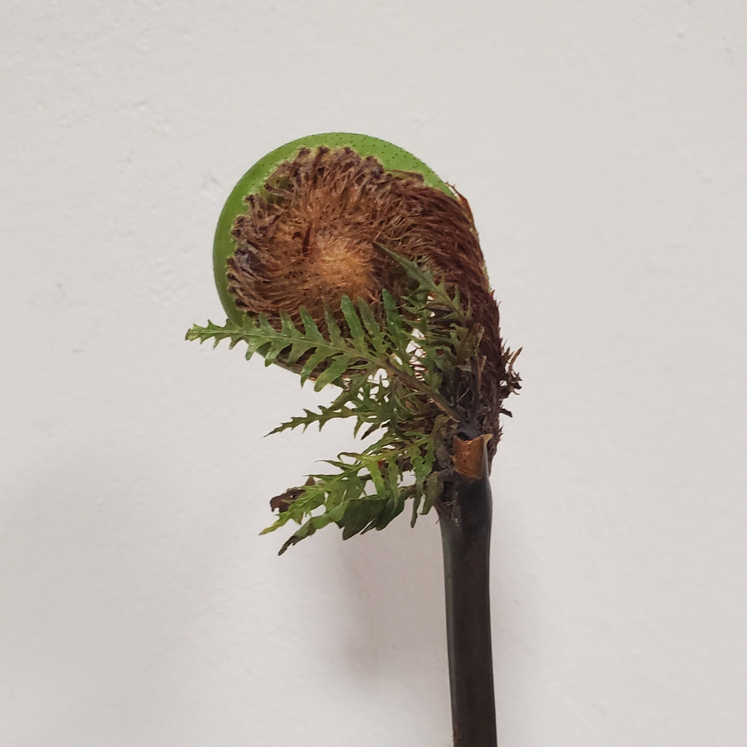 FlowerWorks Heidelberg