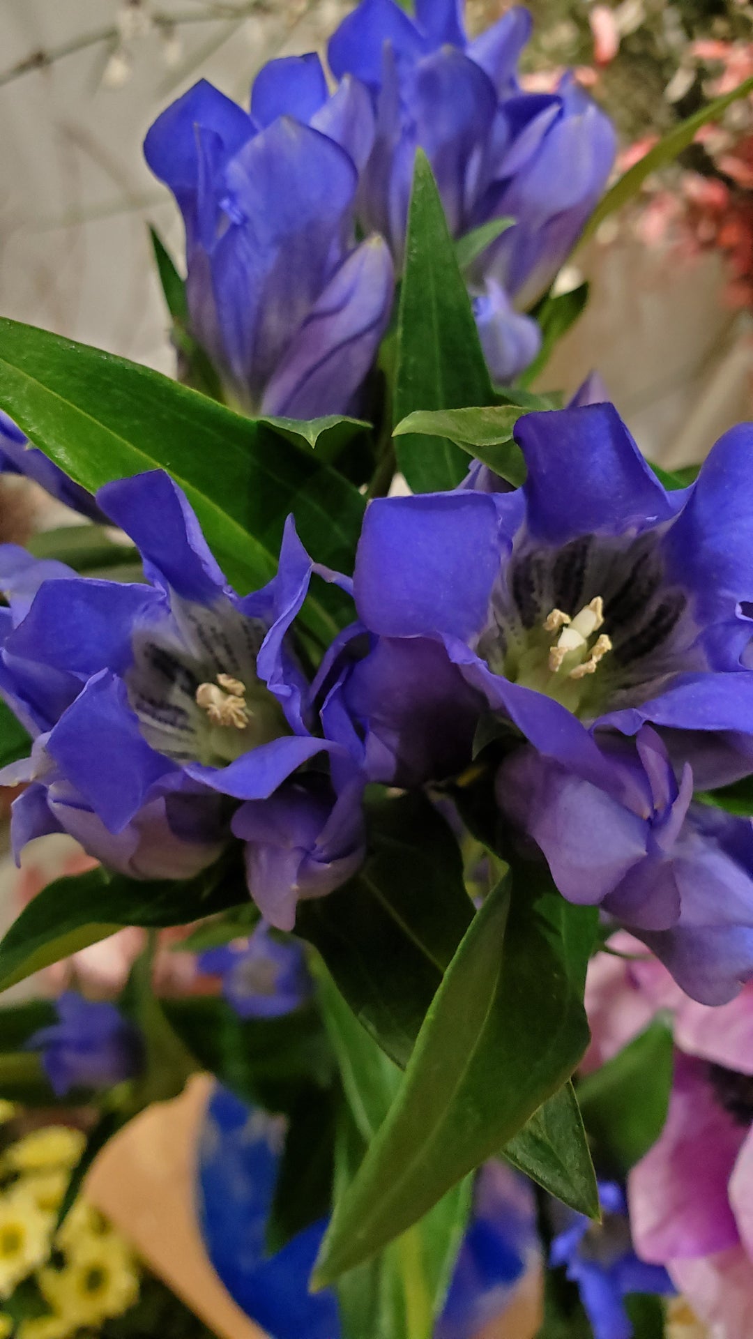 FlowerWorks Heidelberg