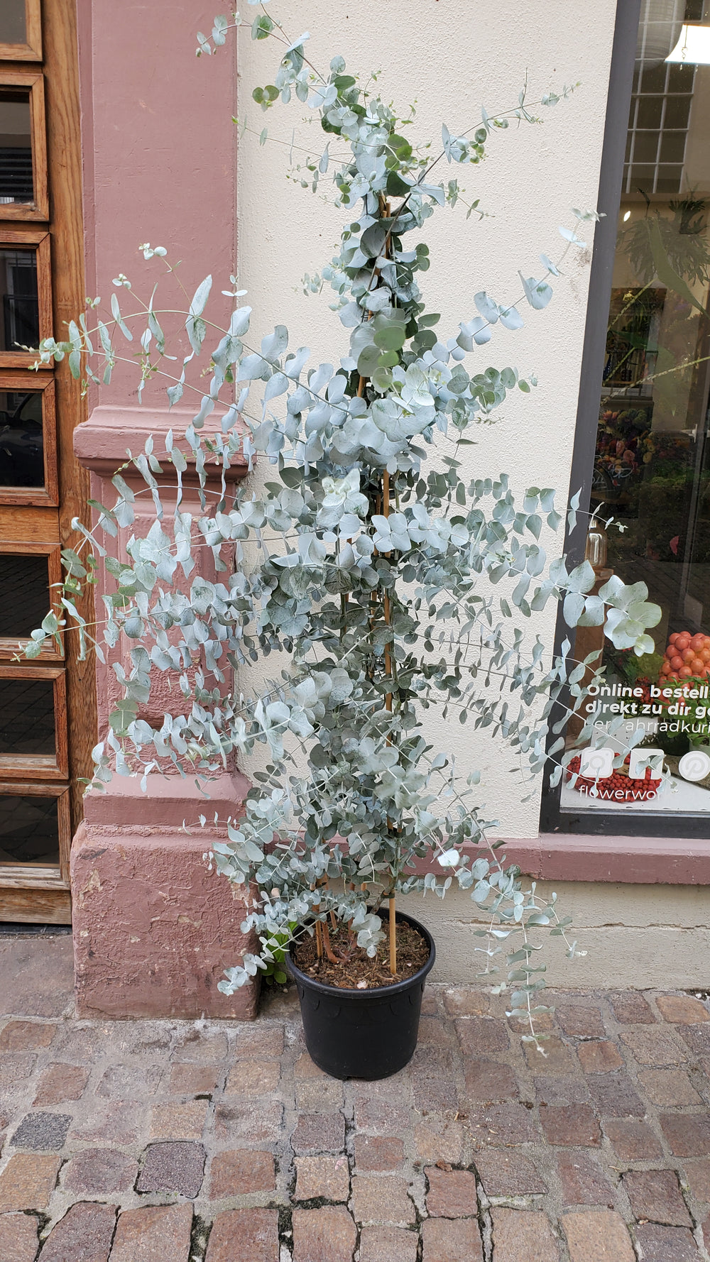 FlowerWorks Heidelberg