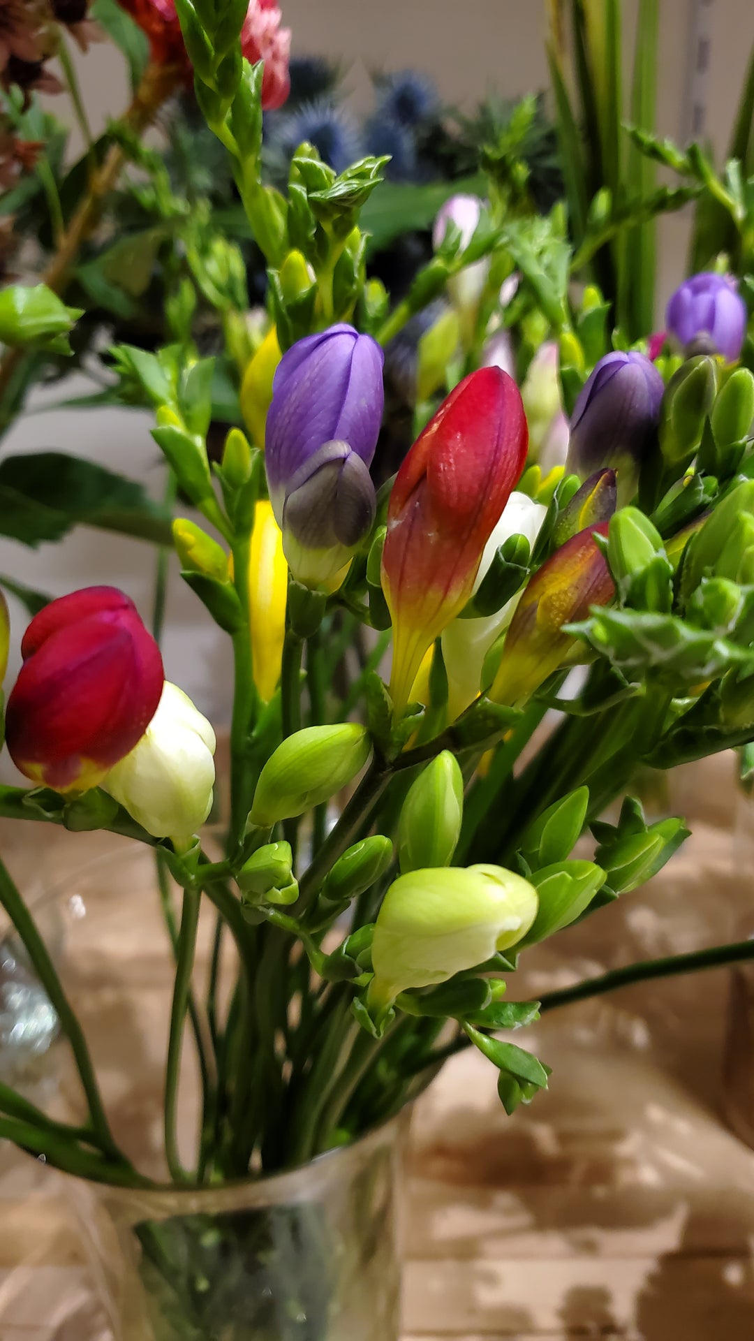 FlowerWorks Heidelberg