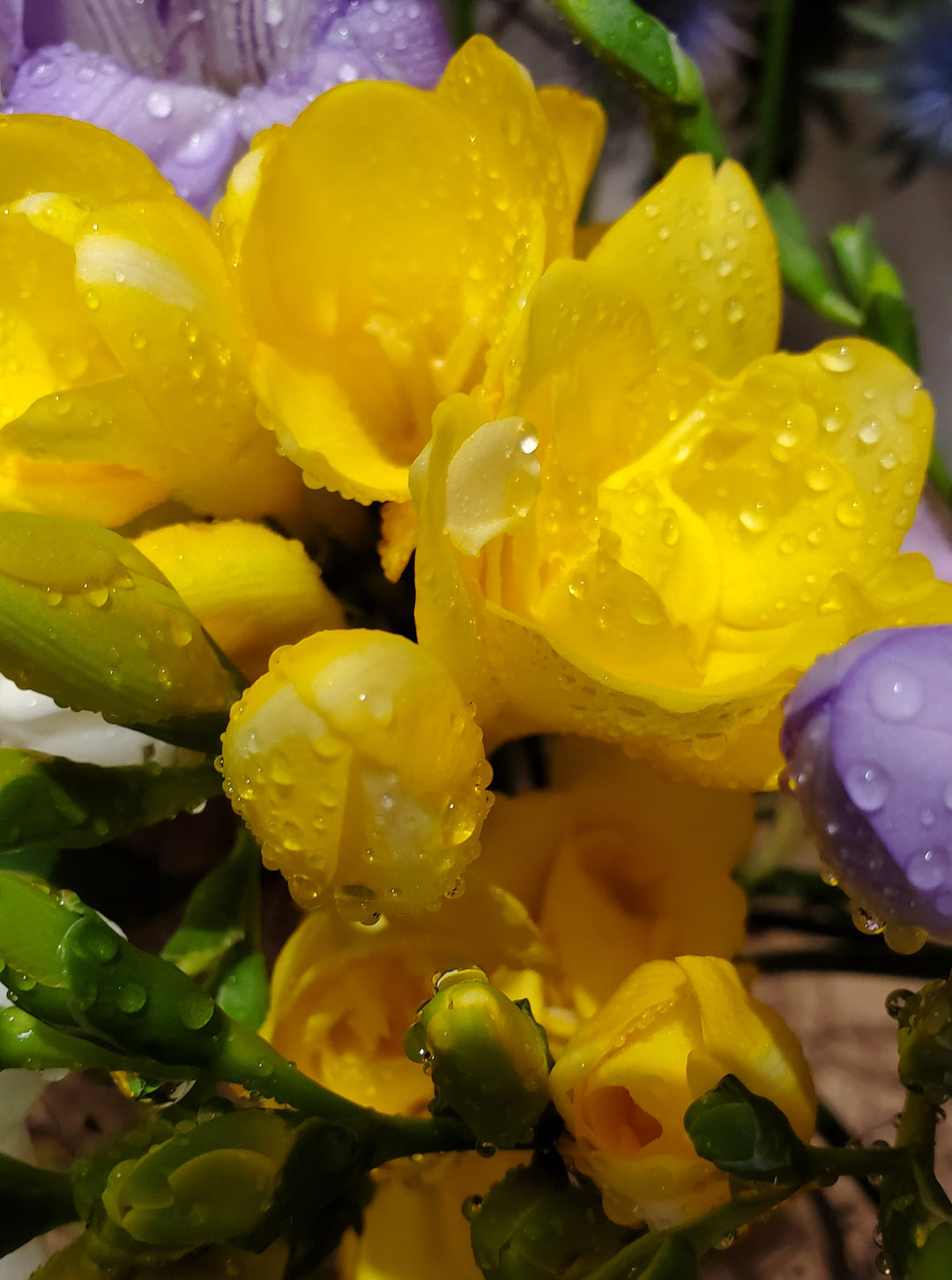 FlowerWorks Heidelberg