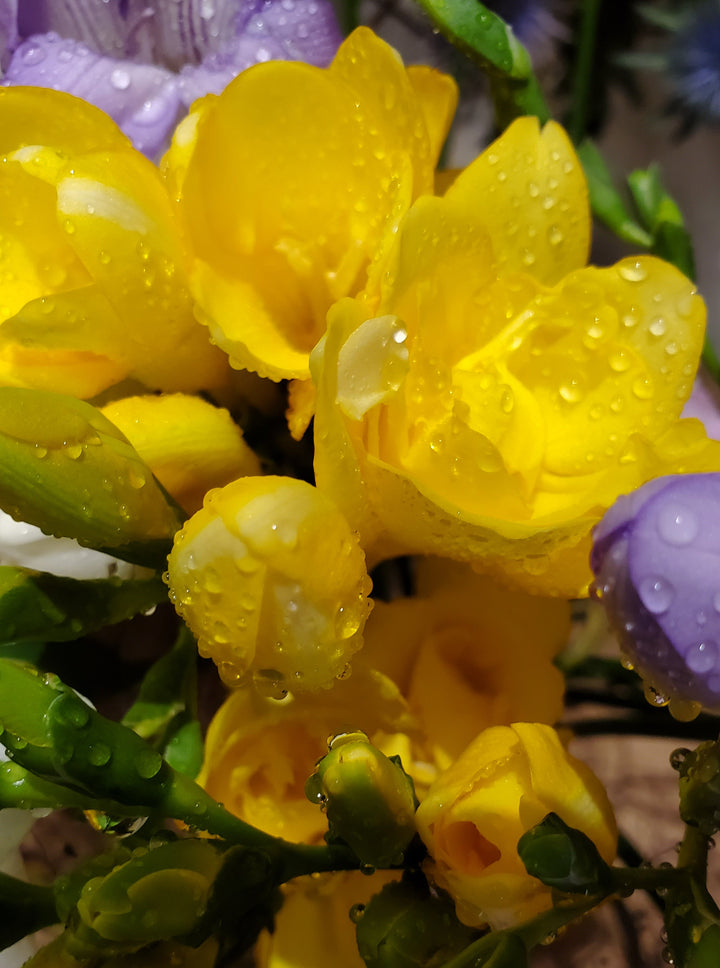 FlowerWorks Heidelberg