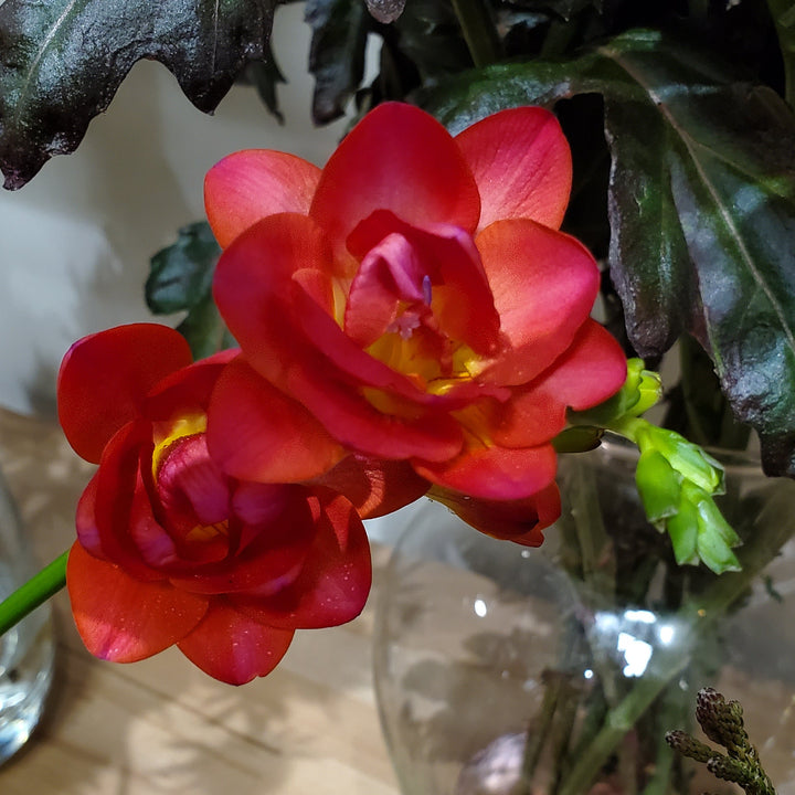 FlowerWorks Heidelberg