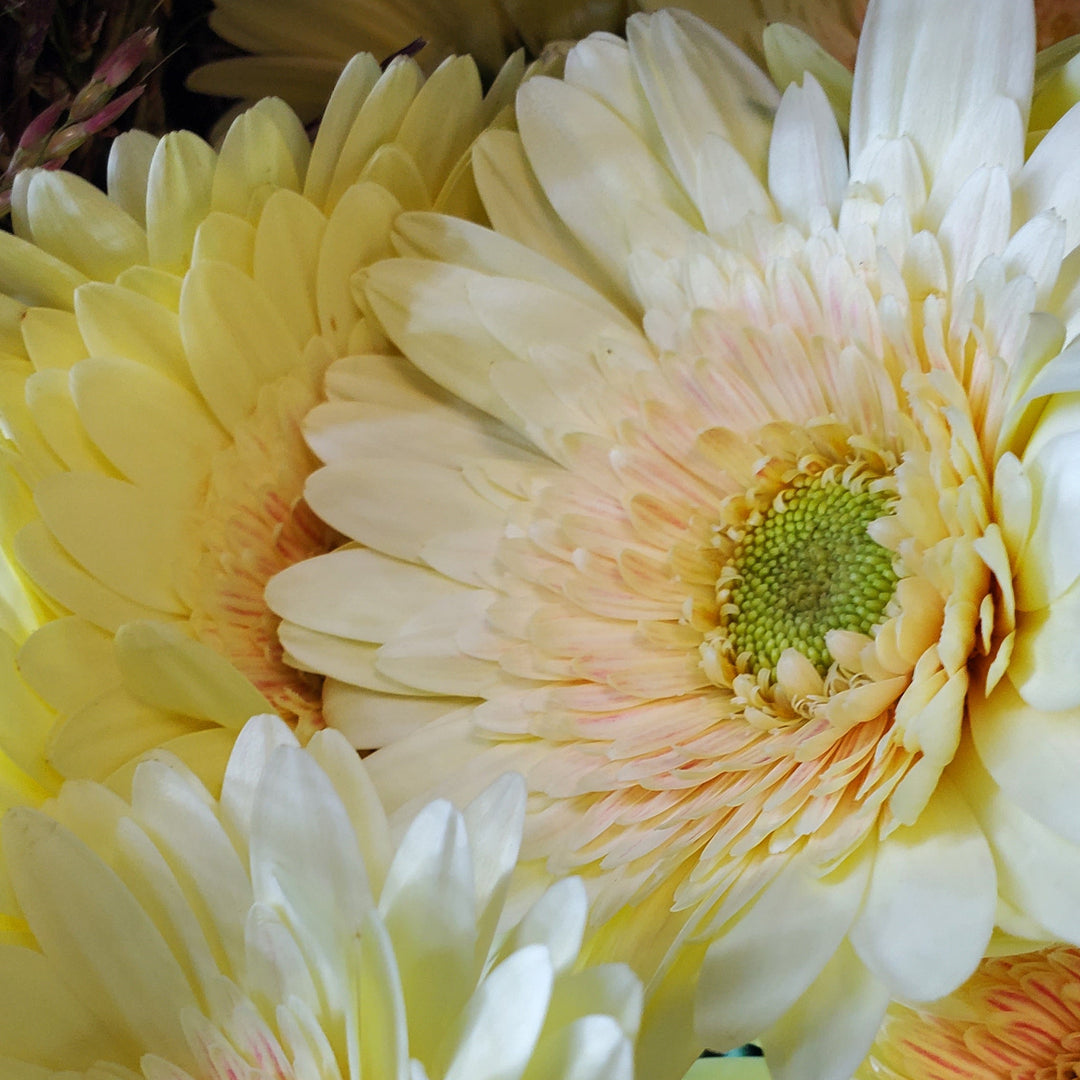 Blumenladen in Heidelberg