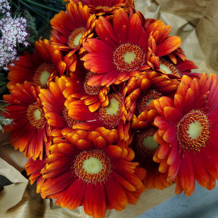 FlowerWorks Heidelberg
