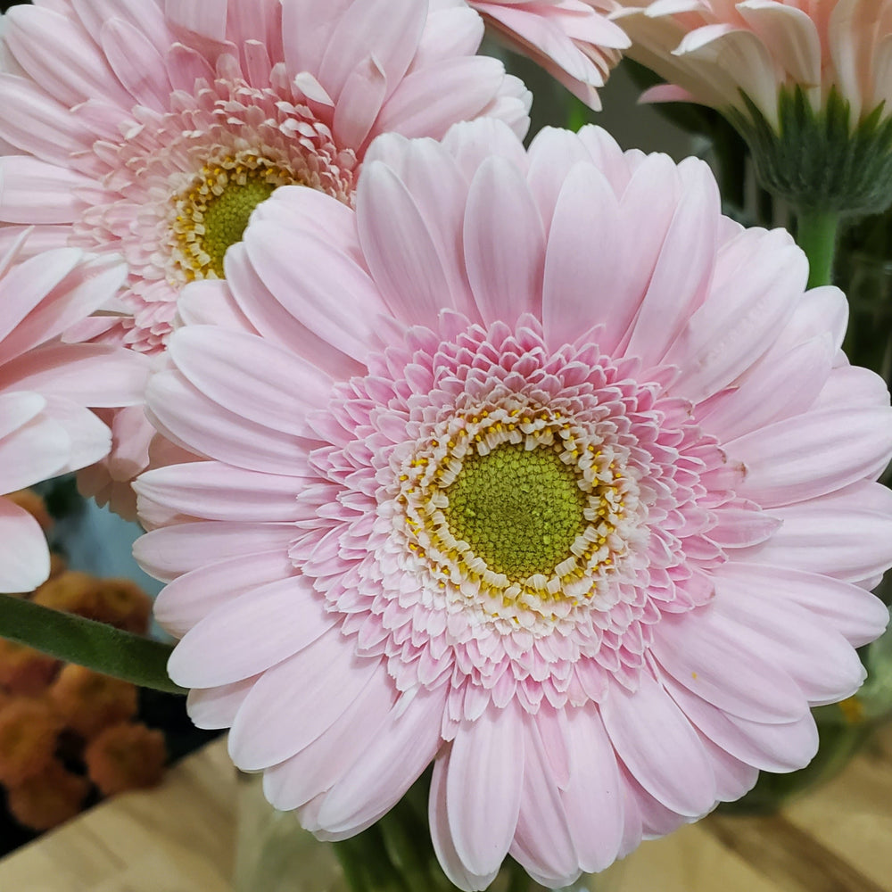 FlowertWorks Heidelberg