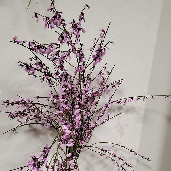 FlowerWorks Heidelberg