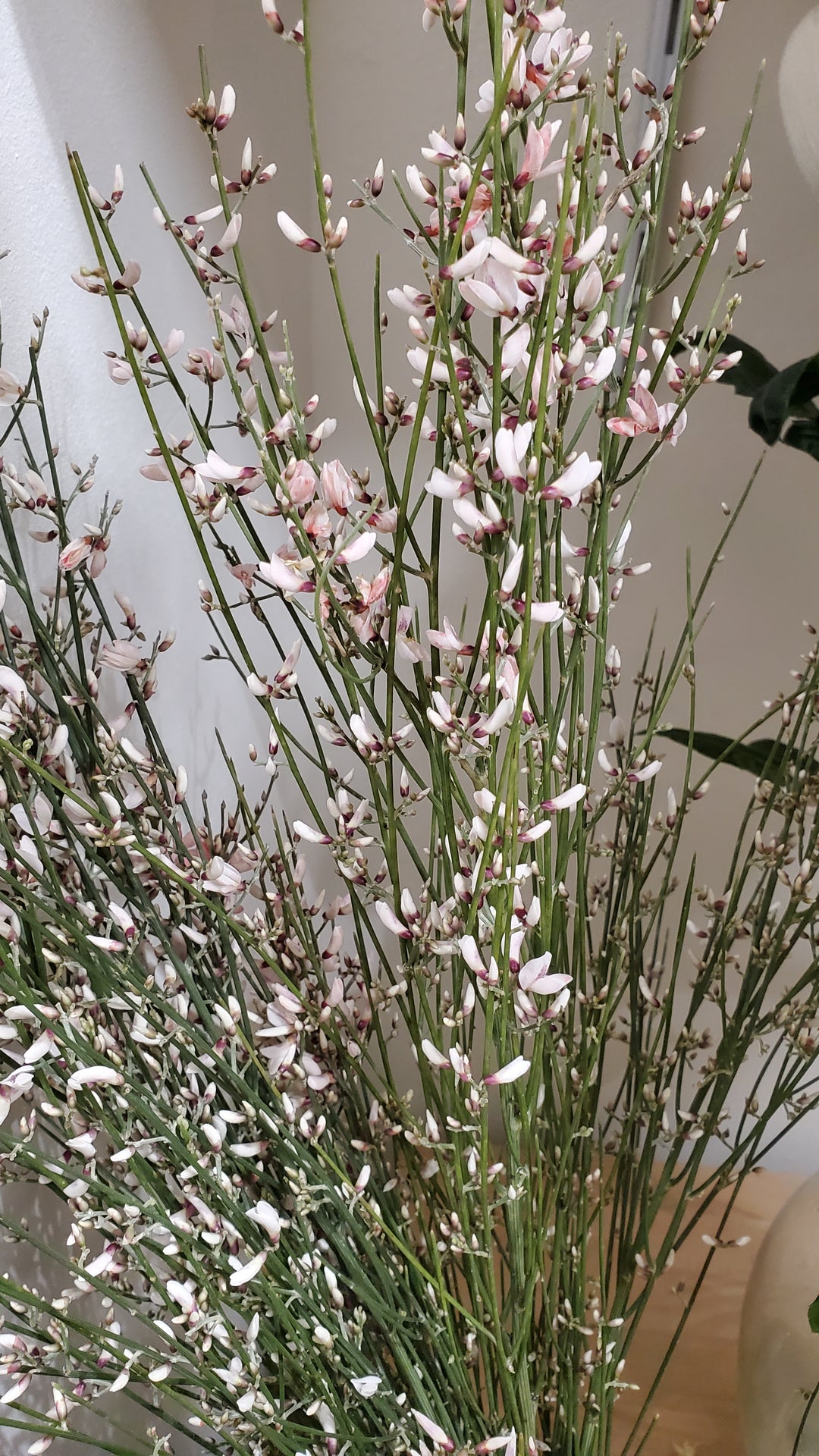 FlowerWorks Heidelberg