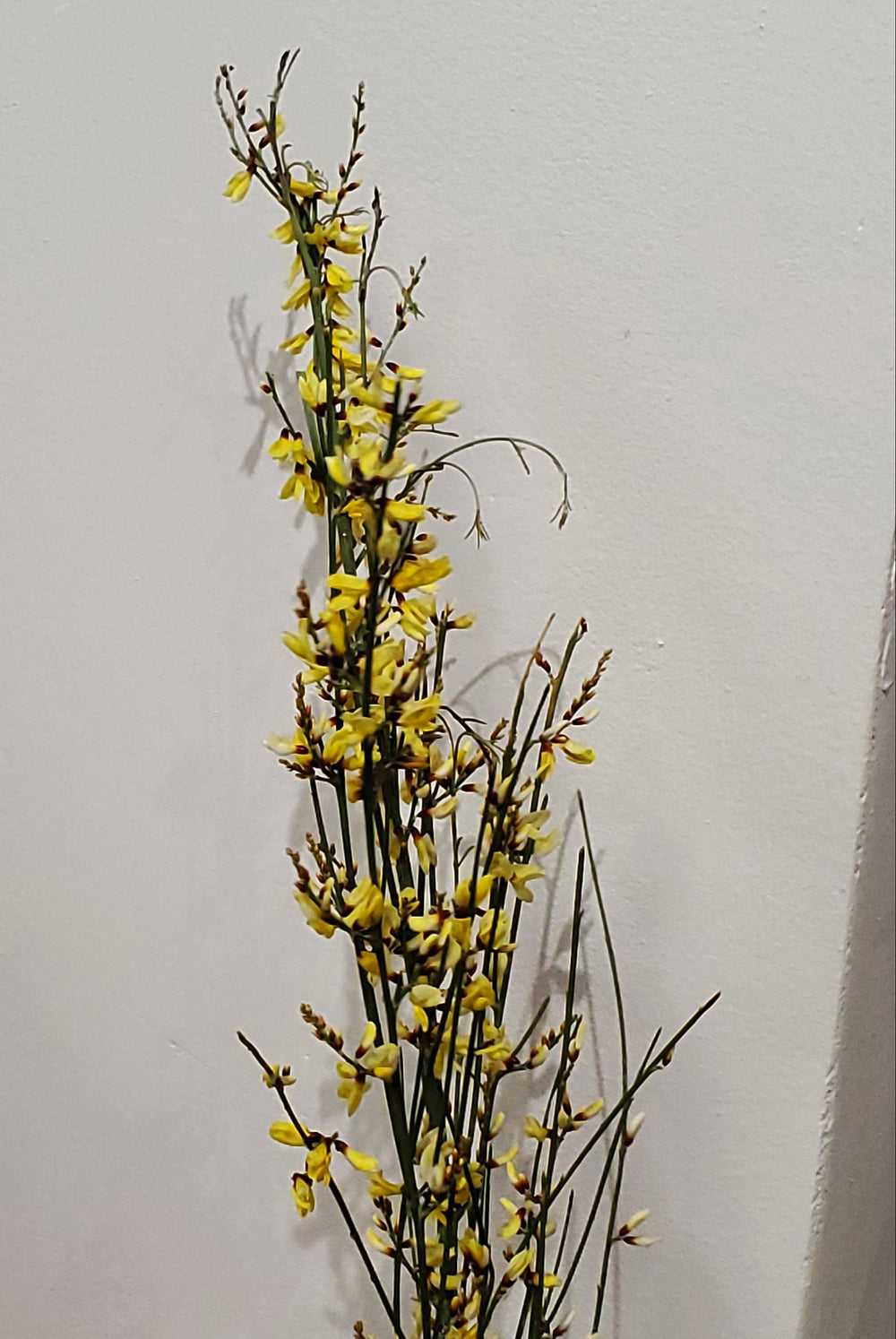 FlowerWorks Heidelberg