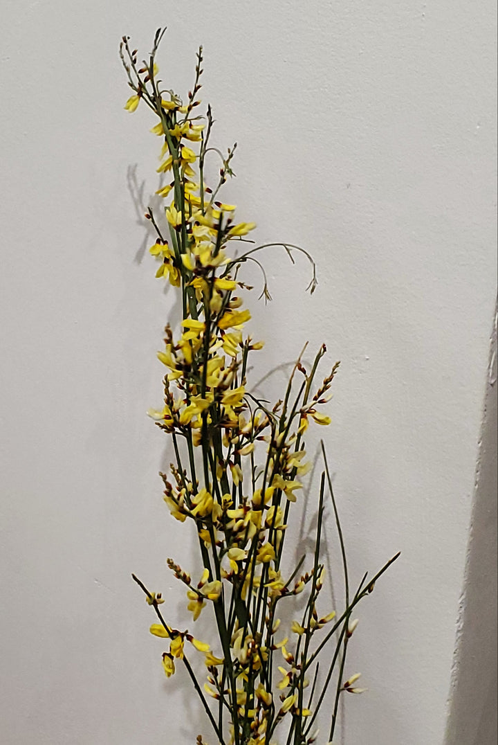 FlowerWorks Heidelberg