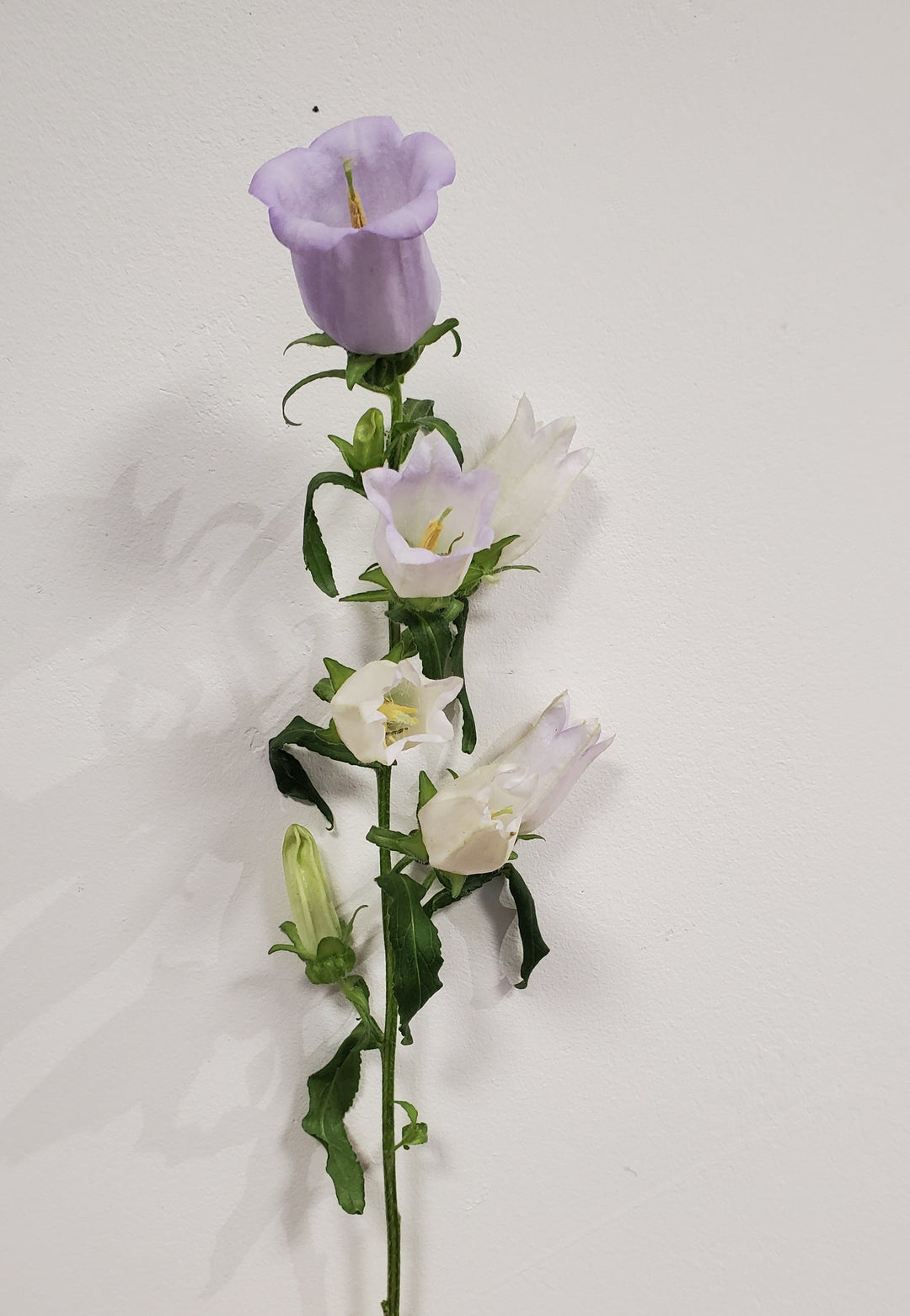 FlowerWorks Heidelberg