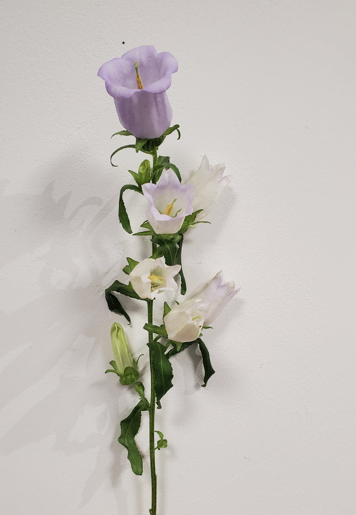 FlowerWorks Heidelberg