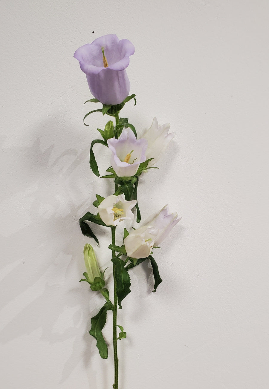 FlowerWorks Heidelberg