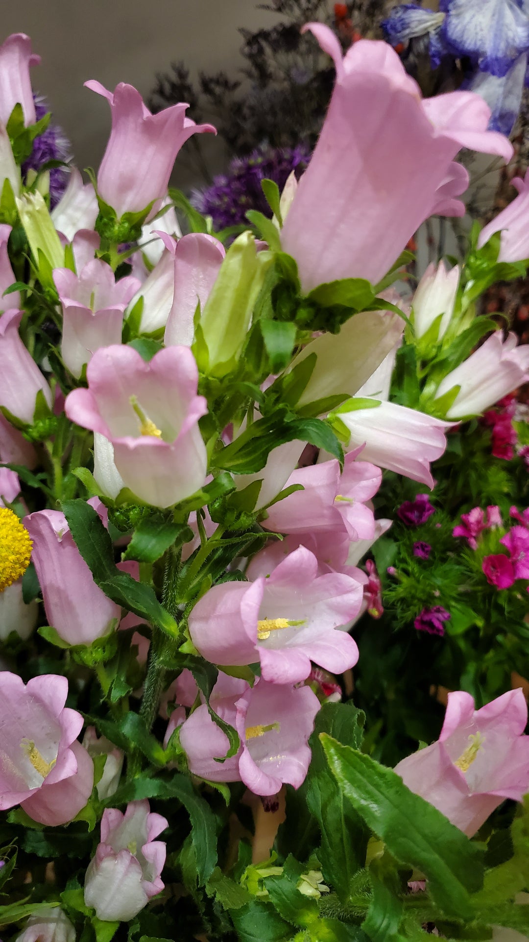 Blumenladen in Heidelberg