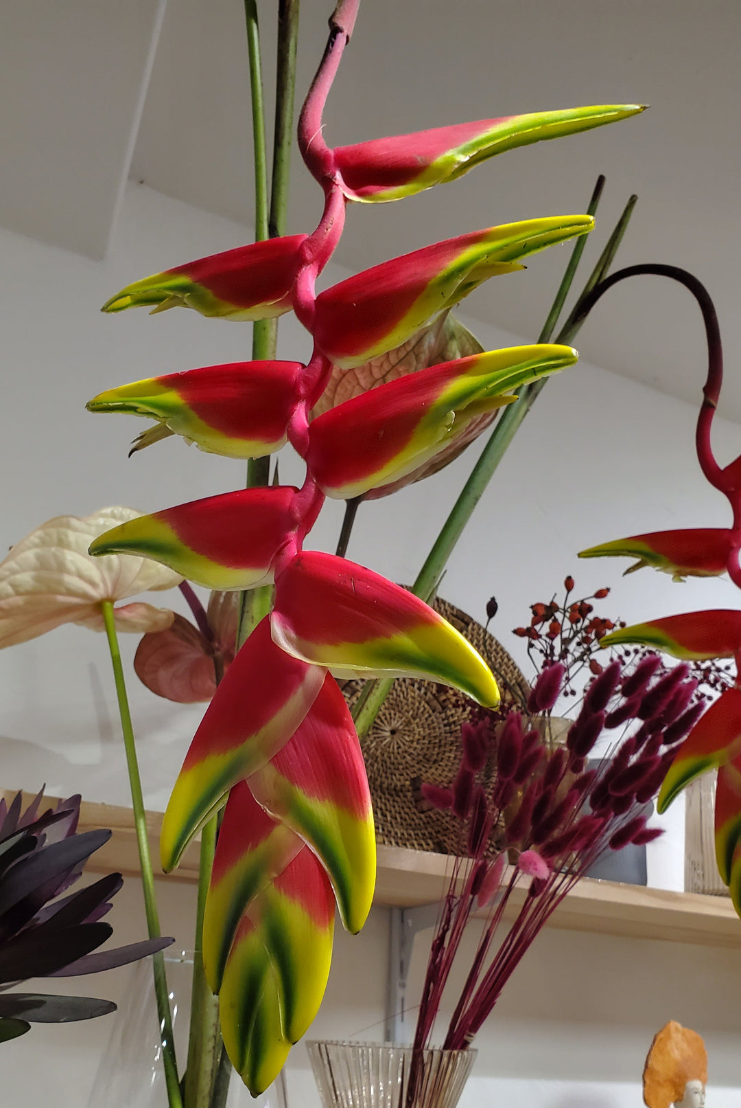 FlowerWorks Heidelberg