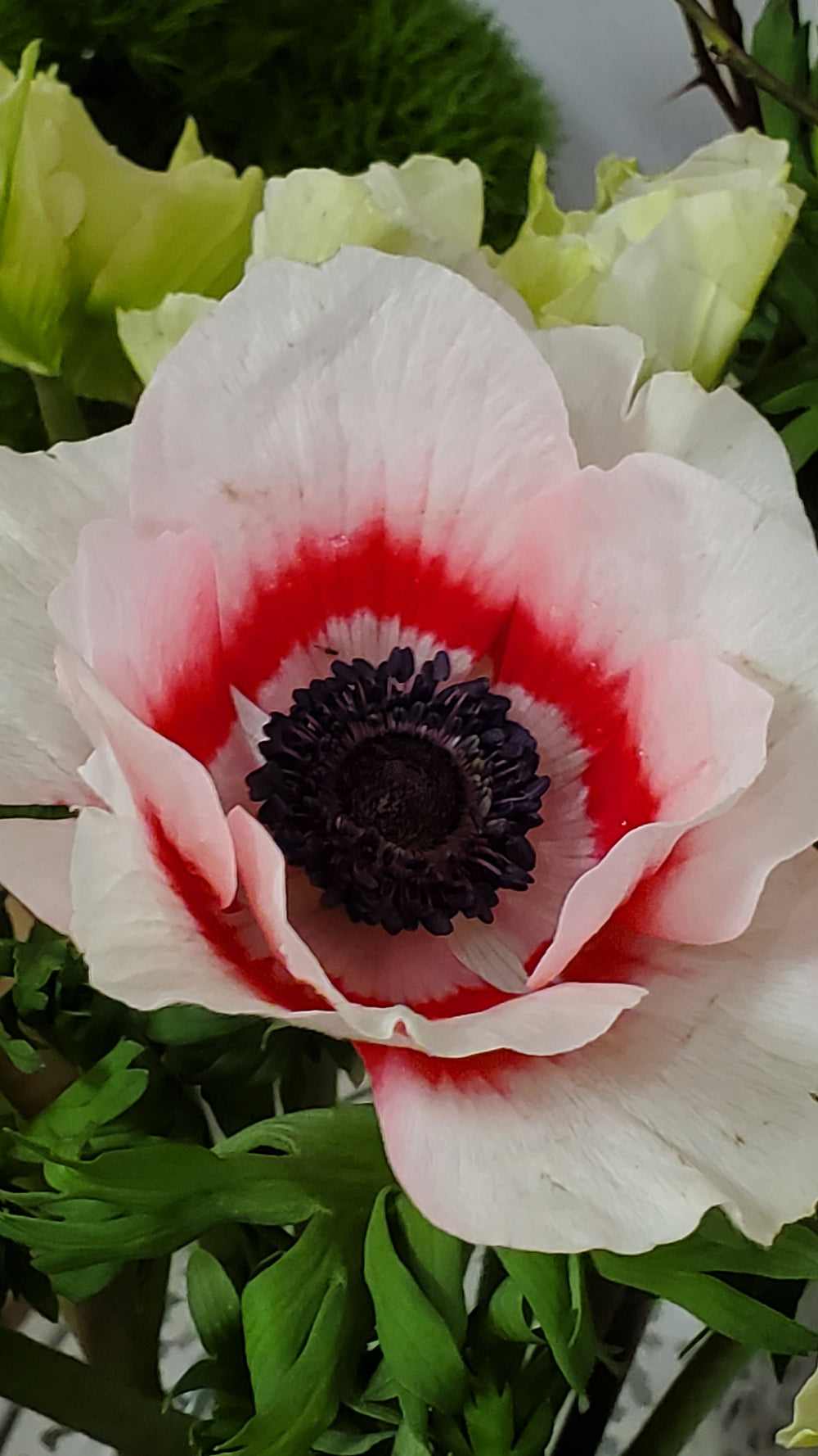 FlowerWorks Heidelberg